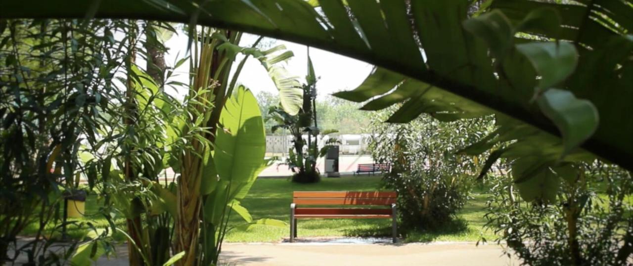 Campsite Happy Camp Mobile Homes In La Vecchia Torre Gallipoli