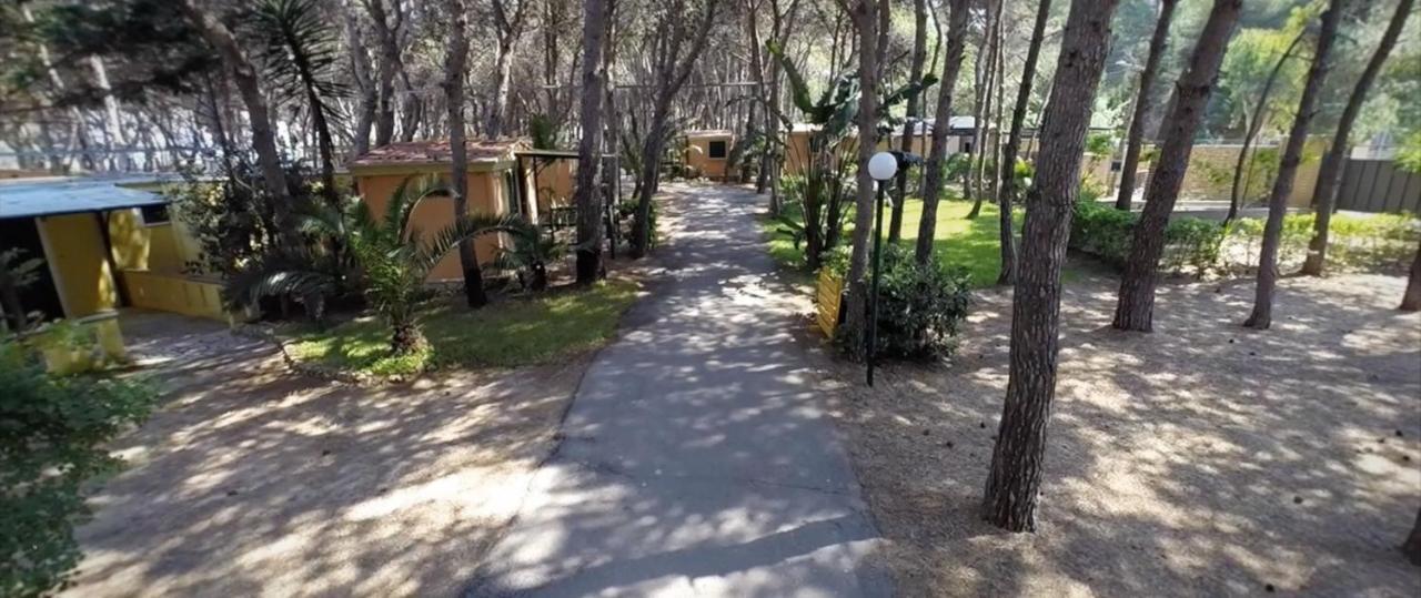 Happy Camp Mobile Homes In La Vecchia Torre